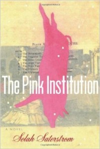 The Pink Institution by Selah Saterstrom